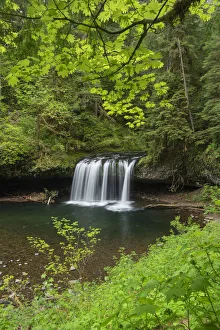 Cool Prints: Upper Butte Creek Falls Cascade Range, Oregon