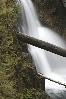 Images Dated 10th September 2006: Upper Falls, Little Qualicum Falls Provincial Park, Vancouver Island, British Columbia
