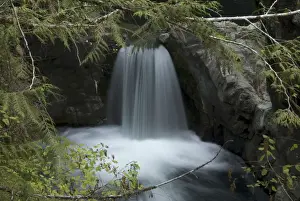 Upper Falls Prints: Upper Falls, Little Qualicum Falls Provincial Park, Vancouver Island, British Columbia