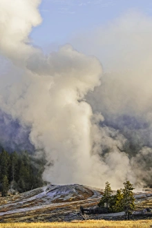 Upper Geyser Basin, Yellowstone National Park, Wyoming