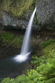 Images Dated 8th July 2007: Upper Horsetail Falls, Columbia River Gorge, Oregon, USA