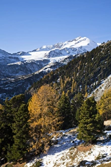 Solitary Prints: The upper valley Martelltal in fall with Mts Zufallspitzen... Europe, central europe