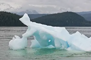 Images Dated 10th August 2011: US, AK, Inside Passage. Glacial ice floe takes sculptural form as it melts
