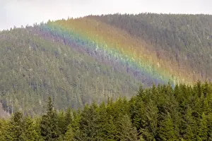 Ketchikan Prints: US, AK, Ketchikan. Sunny break in rain creates rainbow stripes on forested hills