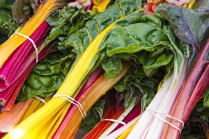 Images Dated 9th March 2015: US, CA. Baywood / Los Osos Central California coast Farmers market chard
