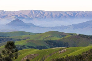 Los Osos Prints: US, CA. Central California coast See Canyon