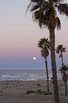 Ventura County Prints: US, CA, Oxnard. Pre dawn in full moonset