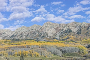 Colorado Prints: US, CO, near Gunnison, Rocky Mountain Autumn