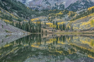 Maroon Bells Snowmass Prints: US, CO, White River NF, Autumn Color Reflected in Maroon Lake