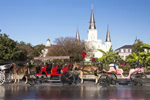 Mammals Prints: US, LA, New Orleans. Jackson Square carriage rides line up in morning
