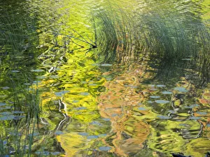 Images Dated 5th August 2020: US, Michigan, Upper Peninsula. Reflections of fall colors in Council Lake
