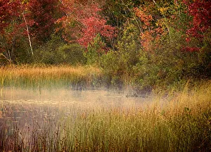 Images Dated 5th August 2020: US, Michigan, Upper Peninsula. Thornton Lake