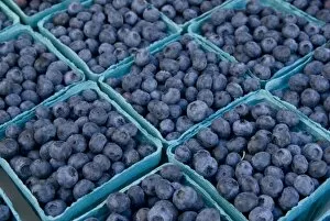 Images Dated 5th July 2007: US: Oregon, Columbia River Basin, Portland, blueberries at farmers market outside