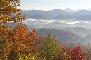 US, TN. Morning light Fog in valleys Smoky Mountain NP viewed from Foothills Parkway
