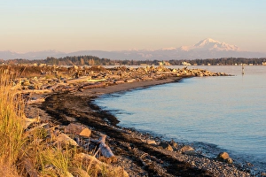 Salish Sea Prints: US, WA, Birch Bay, Sweep of bay with Mount Baker and North Cascades