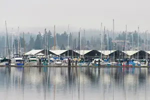 US, WA, Kitsap Peninsula. Poulsbo marina foggy day reflections
