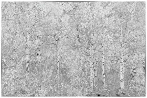 Images Dated 15th January 2024: US13 DGU0053