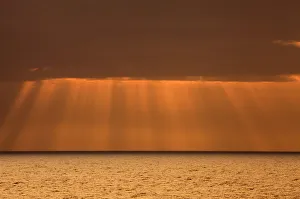Images Dated 14th October 2017: USA, Acadia National Park, Maine. Rays from morning sun along Ocean drive