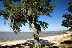 Alabama Prints: USA, Alabama, Fairhope. Beach on Mobile Bay