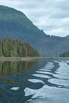Images Dated 8th January 2023: USA, Alaska, Admiralty Island