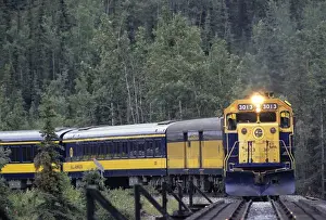 Railroad Prints: USA, Alaska, Alaska Railroad, Denali National Park