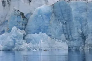 Massive Prints: USA, Alaska, Alsek Lake. Blue ice on face of Great Plain Glacier