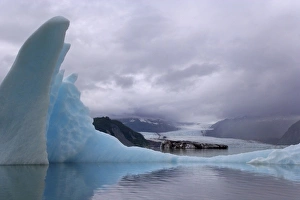 USA, Alaska, Alsek River Valley. Ice bergs float on Alsek Lake