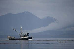 Images Dated 16th July 2007: USA, Alaska, Angoon, FV Lady Jane, a salmon fishing boat, motors past fog-shrouded
