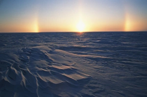 Hugh Rose Prints: USA, Alaska, Arctic Coastal Plain, Sundog over snowy landscape
