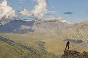 Images Dated 3rd July 2010: USA, Alaska, Arctic National Wildlife Refuge. Hiker pausing to admire hill scenery