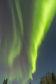Images Dated 2nd March 2015: USA, Alaska. Aurora borealis over forest