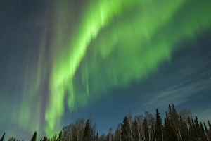 Images Dated 1st March 2015: USA, Alaska. Aurora borealis over forest