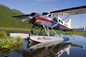 Images Dated 8th August 2007: USA. Alaska. A Beaver lands at Silver Salmon Creek in Lake Clark NP