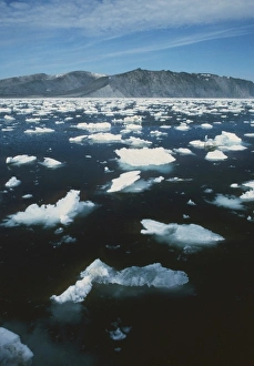 USA, Alaska, Bering Sea, St. Matthews Island, Bull Seal Bay with melting sea ice