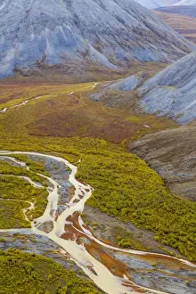 Golden Prints: USA, Alaska, Brooks Range, Arctic National Wildlife Refuge