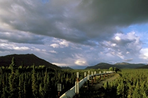 USA, Alaska, Brooks Range, Coldfoot. Trans-Alaska Oil Pipeline