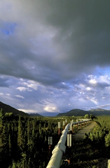 Fuel Prints: USA, Alaska, Brooks Range, Coldfoot. Trans-Alaska Oil Pipeline