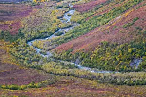 USA, Alaska, Brooks Range. Landscape of tundra and Dietrich River