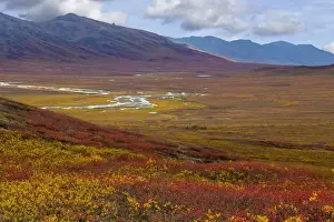 Alaska Prints: USA, Alaska, Brooks Range. Landscape of tundra and Dietrich River