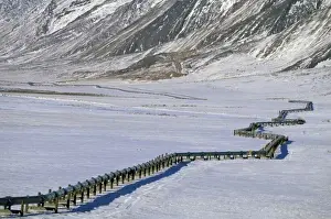 USA, Alaska, Brooks Range. Trans-Alaskan Oil Pipeline