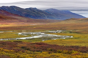 Cloudy Prints: USA, Alaska, Brooks Range. Tundra in fall color