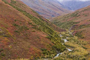 USA, Alaska, Brooks Range. Tundra in fall color