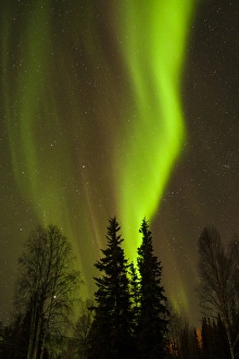 Aurora Prints: USA, Alaska, Chena Hot Springs. View of aurora borealis and stars