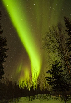 USA, Alaska, Chena Hot Springs. View of aurora borealis and stars