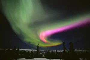 USA, Alaska, Chena Hot Springs. Aurora Borealis in the night sky