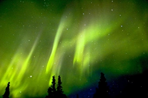 Images Dated 8th March 2005: USA, Alaska, Chena Hot Springs. Aurora Borealis in the night sky