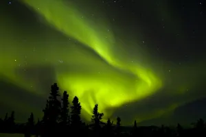 Images Dated 8th March 2005: USA, Alaska, Chena Hot Springs. Aurora Borealis in the night sky