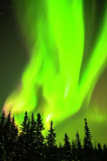 Northern Lights Prints: USA, Alaska, Chena Hot Springs Resort. Aurora borealis fills night sky
