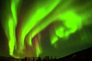 Northern Lights Prints: USA, Alaska, Chena Hot Springs Resort. Aurora borealis fills night sky