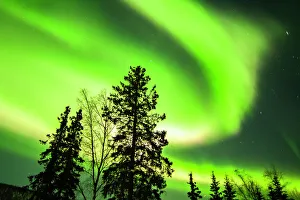 Star Prints: USA, Alaska, Chena Hot Springs Resort. Aurora borealis fills night sky